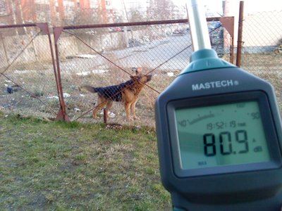Klaipėdietė Dalia matuoja kaimynų šunų keliamą triukšmą