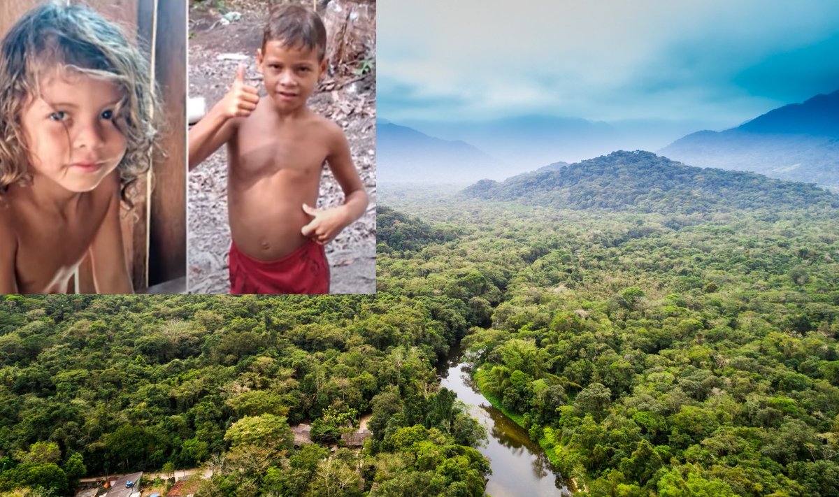 Broliai Glauco ir Glaisonas Ferreira mėnesį klajojo Amazonės džiunglėse.