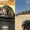 Nufilmuotas drąsus pareigūno poelgis: pažiūrėkite, kaip jis išgelbsti katytę