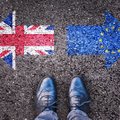 Žiniasklaida: ES ir JK derybininkai rekomenduos šalių lyderiams tęsti derybas dėl „Brexito“
