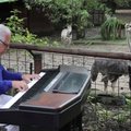 Kolumbijos zoologijos sodo gyvūnams skambinama fortepijonu
