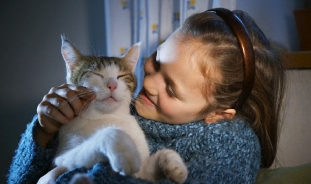 Mergaitė glosto kačiuką