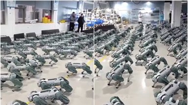 Ar tikrai vaizdo įraše užfiksuota Pentagono robotų-šunų armija?