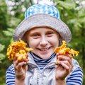 Grybai vaikų mityboje: kuo naudingi ir kuo pavojingi