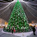 Prognozuoja, kokia bus žiema: Kalėdas gali išgelbėti tik stebuklas