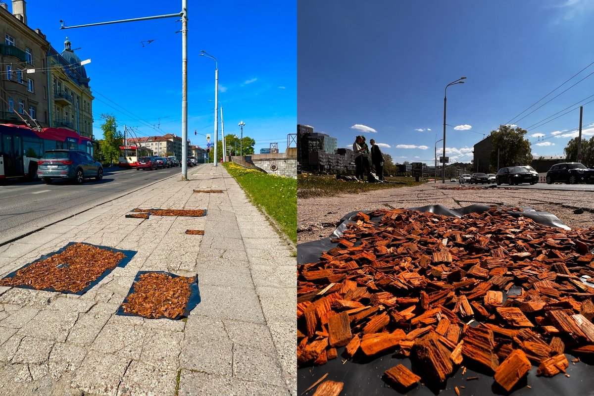 Vilnius-innbyggerne tok initiativet – de trakk oppmerksomheten til de hullete gatene på en uvanlig måte