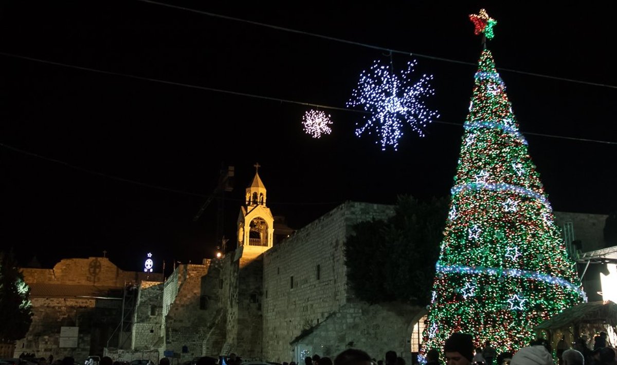 Kalėdinė eglė Betliejuje