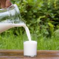 Kaip keitėsi pieno supirkimo kainos
