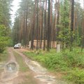 Šalia Vilniaus - chemikalais ir traktoriais naikinami miškai, dygsta nauji namai