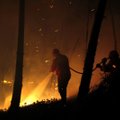 Lietuvoje vėl auga miškų gaisrų pavojus