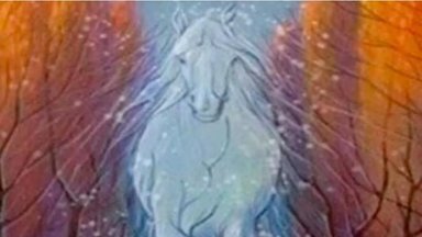 Arklys, pūga ar medžiai: nauja optinė iliuzija atskleis jūsų asmenybės paslaptis