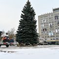 Laisvės aikštėje pradėta puošti Panevėžio miesto Kalėdų eglė