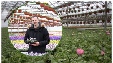 Alytaus rajono verslininkų puoselėjamos gėlės nustebina net visko mačiusius olandus