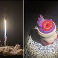 Japonai nepasikuklino: į kosmosą siųs raketą su sekso žaislais – ir tam turi intriguojantį tikslą