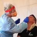 Антинаучные слухи: тест на коронавирус может оказать разрушительное влияние на мозг