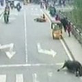 Įsiutęs buivolas Kinijos pietvakariuose sužeidė mažiausiai 10 žmonių