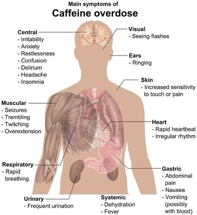 Kofeino perdozavimo simptomai