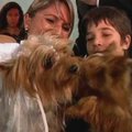 Rio de Žaneire įvyko šunų poros vestuvės