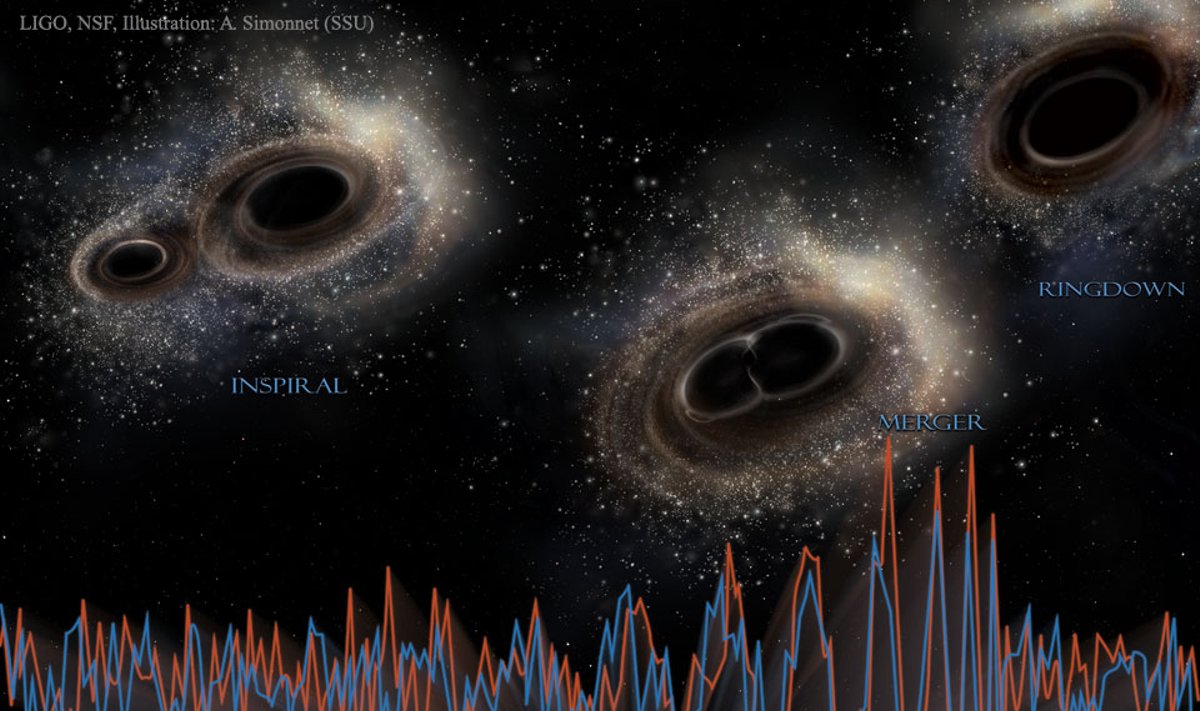 Gravitacinių bangų signalas, atsklidęs iš susijungiančios juodųjų skylių poros, užfiksuotas dviejuose detektoriuose JAV: Vašingtone ir Luizianoje. ©NASA APOD