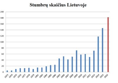 Stumbrų skaičius Lietuvoje