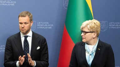 Landsbergis: Šimonytė galėtų vesti partijos Seimo rinkimų sąrašą