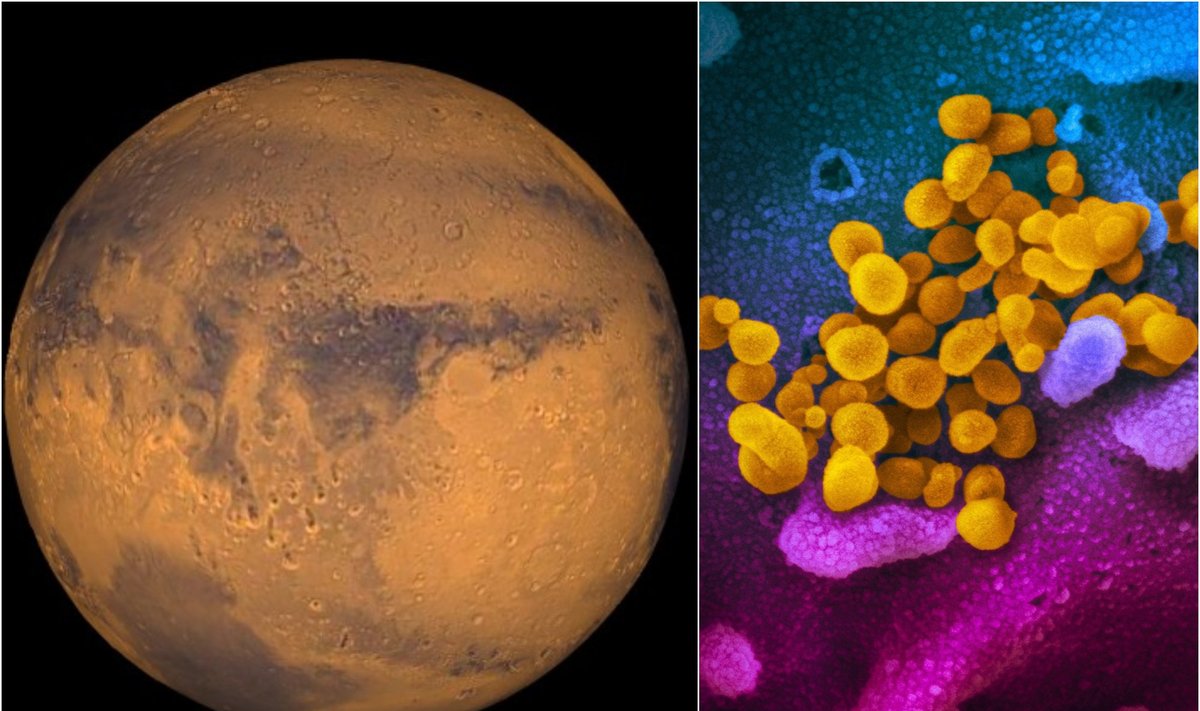 Marsas ir koronavirusas