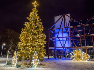 Šilutės Kalėdų eglės įžiebimas, nuotr. autorius Andrius Čečkauskas