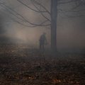 Kanados Albertos provincijoje dėl siaučiančių miškų gaisrų paskelbta nepaprastoji padėtis