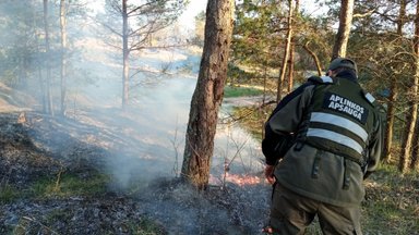 Žolės degintojai vėl ėmėsi savo juodų darbelių: gaisrų – šimtai, o sezonas nė neįsibėgėjo