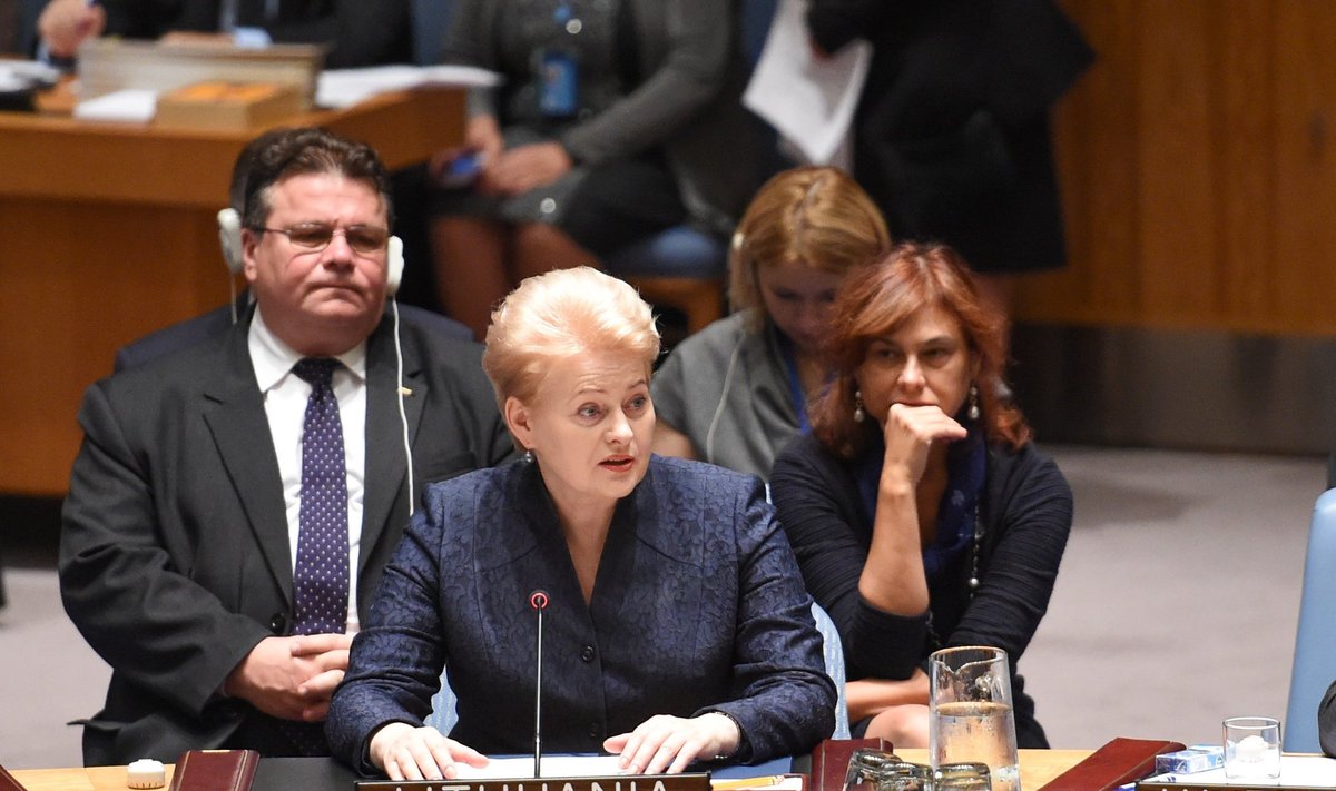 Dalia Grybauskaitė at UN Security Council