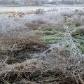 Skaitytojų akimis. Gimnazijos stadionas skendi išmatose