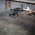 Ministrė: per vasarinę karščio bangą Prancūzijoje mirė 1500 žmonių