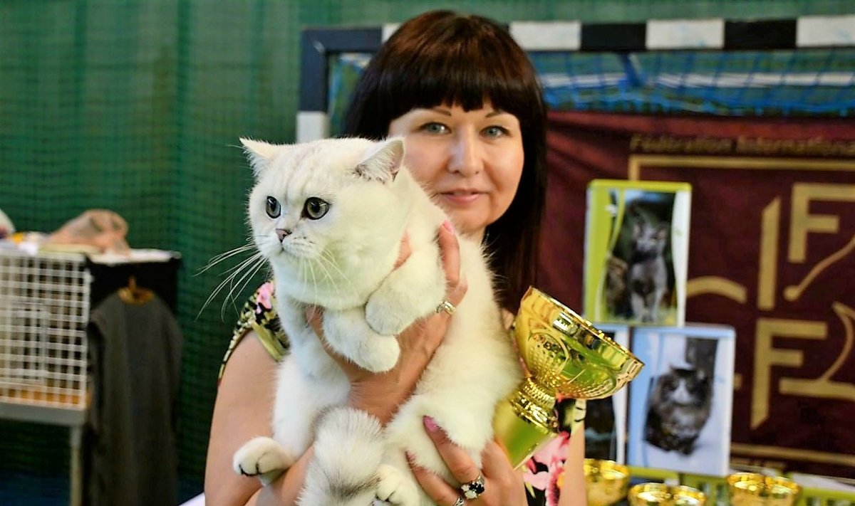 Kačių paroda Vilniuje