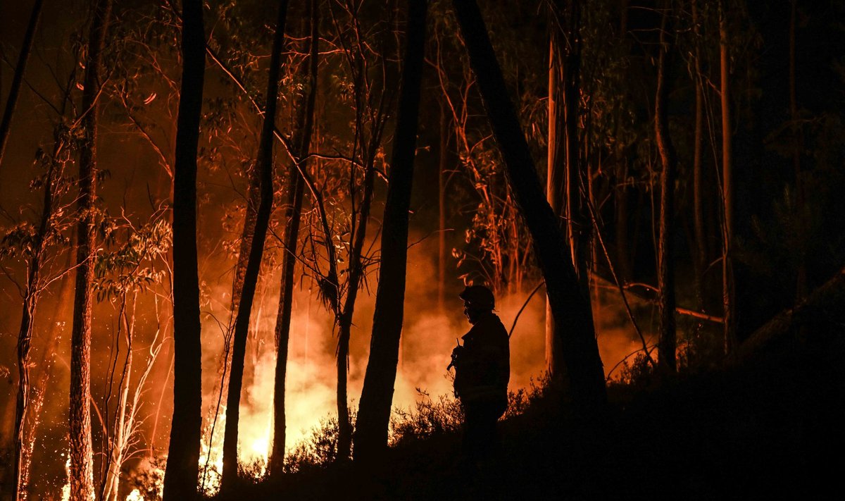 Portugalija kovoja su miškų gaisrais, tęsiantis karščio bangai (Asociatyvi nuotr.)