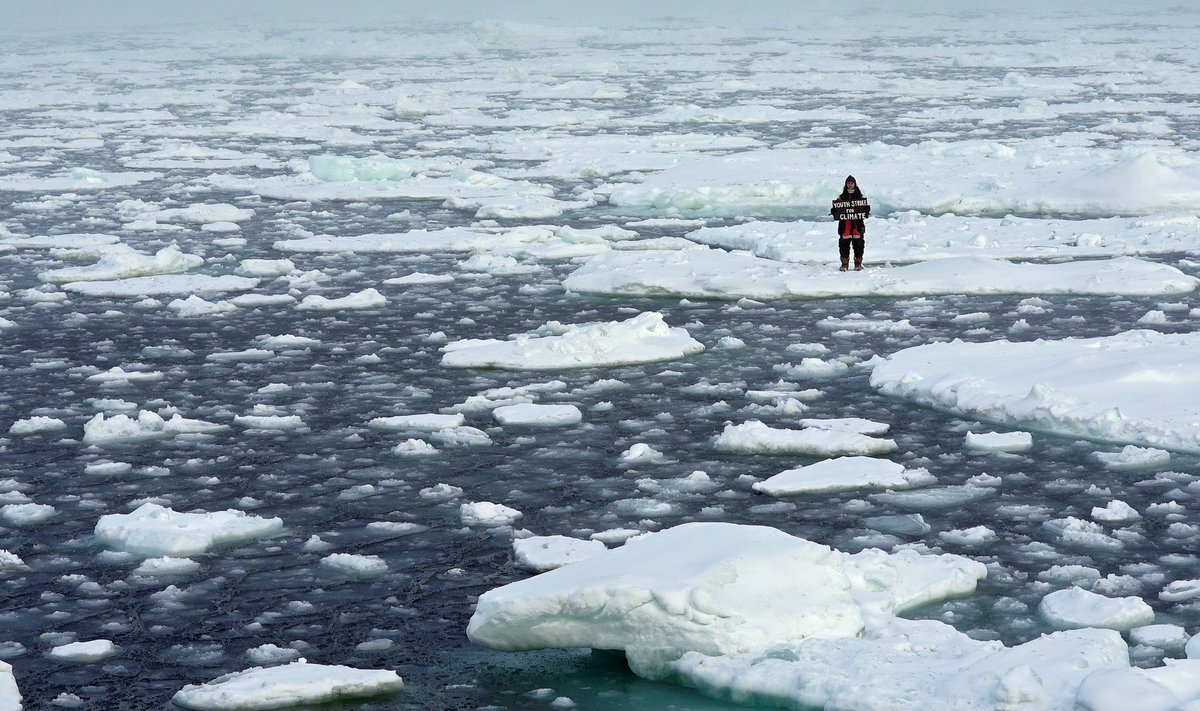 Tirpstantys Arkties ledynai