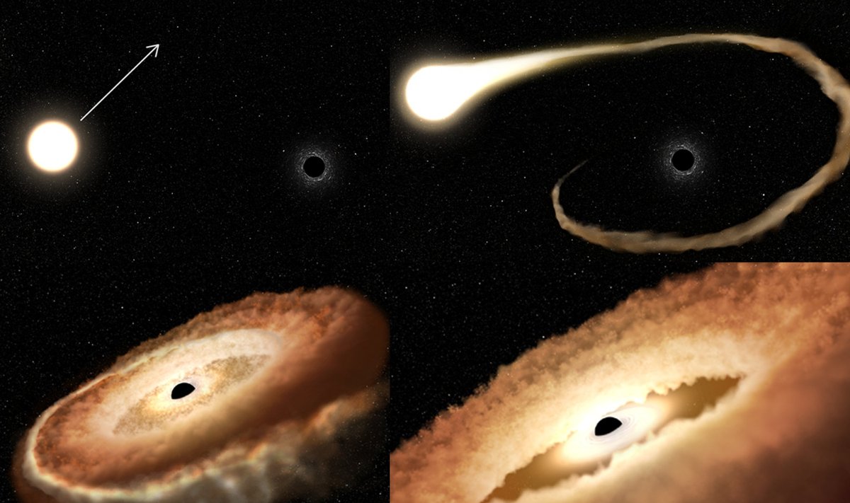 Žvaigždę ryjanti juodoji skylė. NASA, ESA, Leah Hustak (STScI) iliustr.