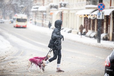 Žiemiškas Vilnius