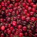 Vaisių ir daržovių ekspertė išaiškino, koks yra skirtumas tarp vyšnių ir trešnių ir pasidalijo gardžiais receptais