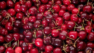Vaisių ir daržovių ekspertė išaiškino, koks yra skirtumas tarp vyšnių ir trešnių ir pasidalijo gardžiais receptais