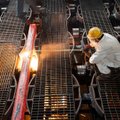 Sustojus fabrikams, Europos augimo varikliu tampa paslaugos