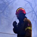 Graikijos ugniagesiai: dauguma gaisrų kontroliuojami