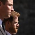 Po susitikimo su šeimos nariais Harry liko šokiruotas jų elgesiu: kitas planuotas princo vizitas į Jungtinę Karalystę pakibo ant plauko
