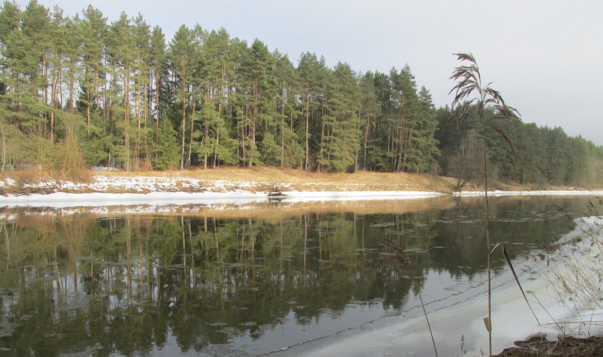 Šventoji žiemą