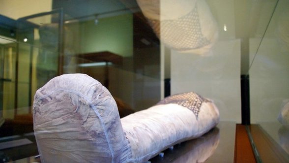 Ar galėjo pirmoji Lietuvos egiptologė suklastoti Kauno mumijos istoriją?