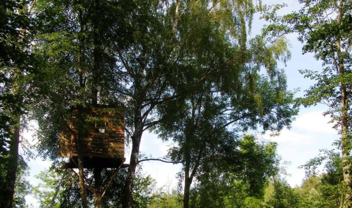 Vakarop namas tarsi pasislepia medžių lapijoje 