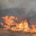 Karščio rekordą užfiksavusioje Italijoje ugniagesiai grumiasi su 500 gaisrų