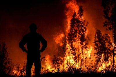 Milžiniški miškų gaisrai fiksuoti visame pasaulyje