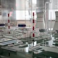 VATESI: Astravo AE tęsiasi fizikiniai reaktoriaus paleidimo darbai