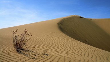 Ks. Byliński: Słowo na Niedzielę