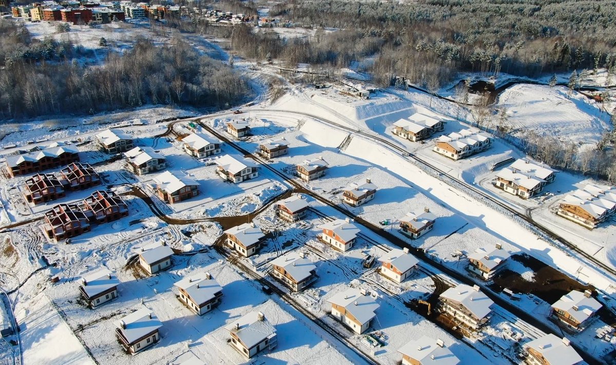 Dvibučiai